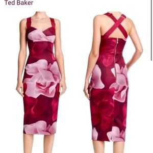 Ted Baker NWT Mallie Porcelain Rose Midi Dress Bodycon Floral Print 0 XS